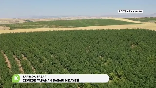 Tarımda Başarı