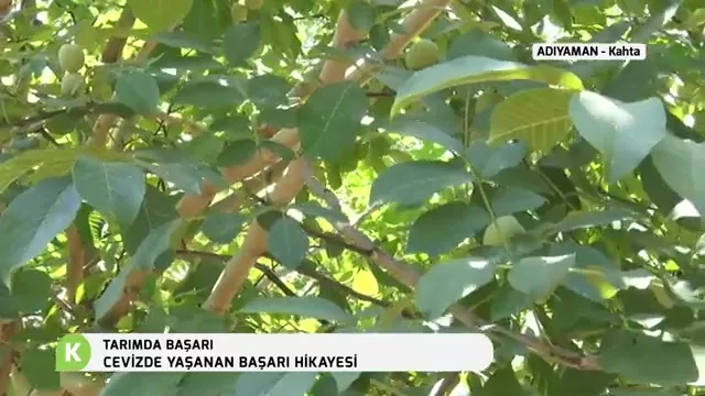 Tarımda Başarı