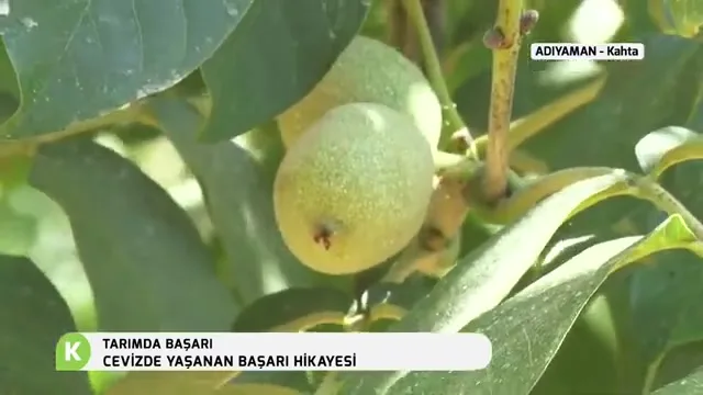 Tarımda Başarı