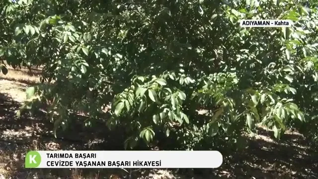 Tarımda Başarı