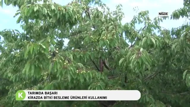 Tarımda Başarı