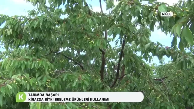 Tarımda Başarı