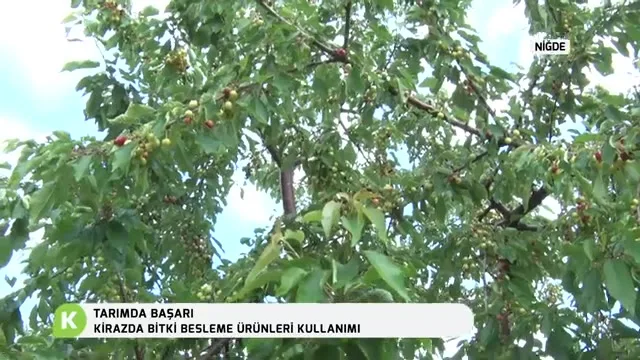 Tarımda Başarı