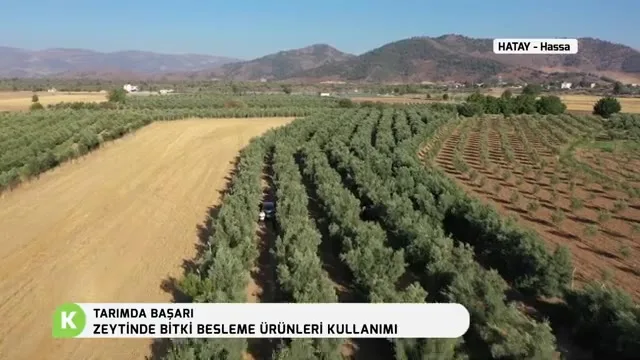 Tarımda Başarı