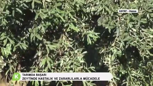 Tarımda Başarı