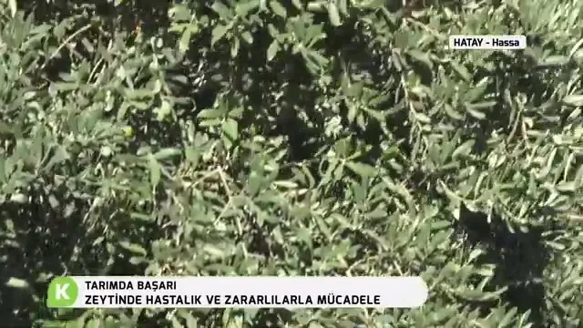 Tarımda Başarı