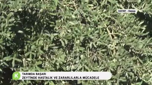 Tarımda Başarı