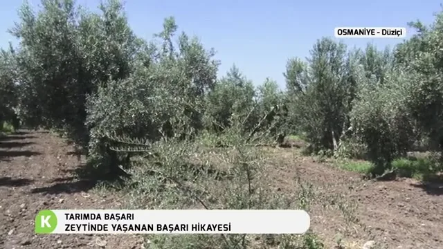 Tarımda Başarı