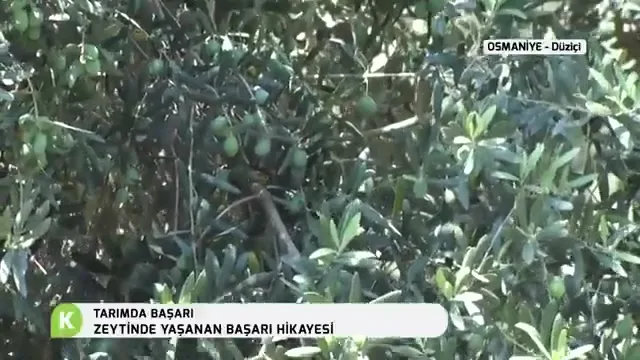 Tarımda Başarı