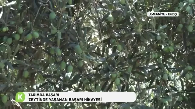 Tarımda Başarı