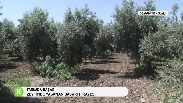 Tarımda Başarı
