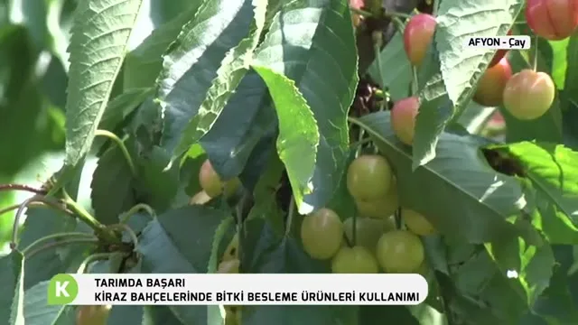 Tarımda Başarı