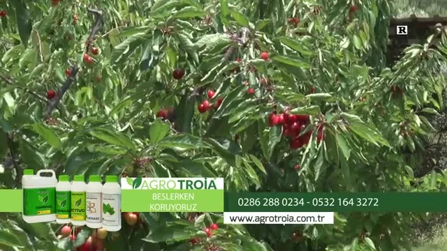 Tarımda Başarı