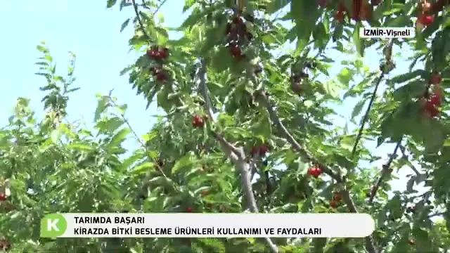 Tarımda Başarı