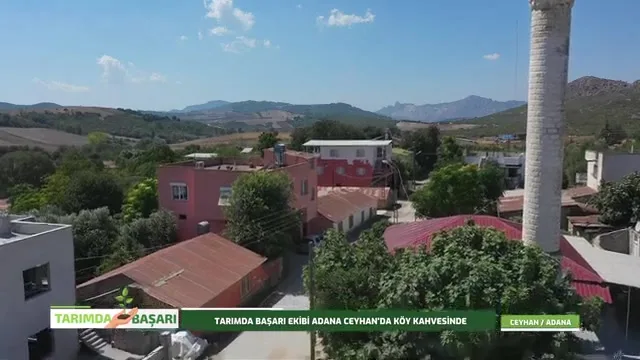 Tarımda Başarı - Ceyhan zeytin