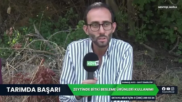 Halkalı leke ile mücadele ve Copperas uygulaması