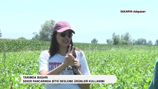 Tarımda Başarı - şeker pancarı