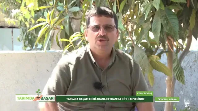 Tarımda Başarı - Ceyhan zeytin