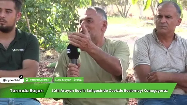 Tarımda Başarı - Pazarcık ceviz