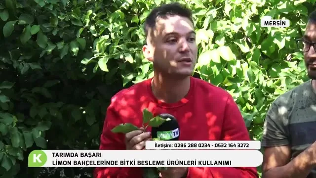 Tarımda Başarı - limon besleme