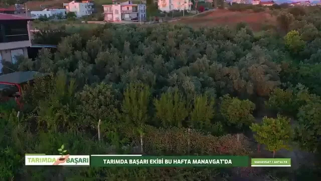 Tarımda Başarı