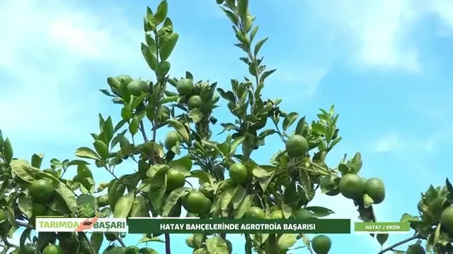 Tarımda Başarı