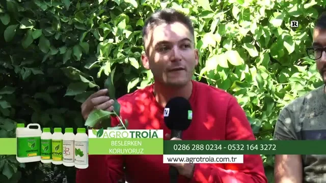 Tarımda Başarı - limon besleme