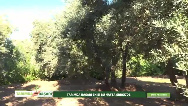 Tarımda Başarı