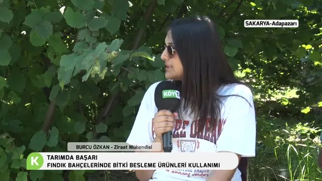 Tarımda Başarı - fındık besleme