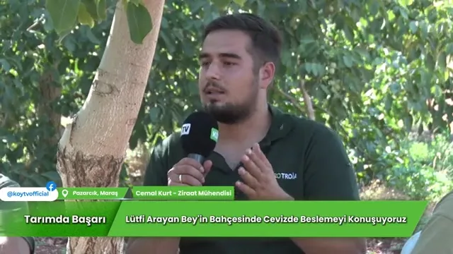 Tarımda Başarı - Pazarcık ceviz
