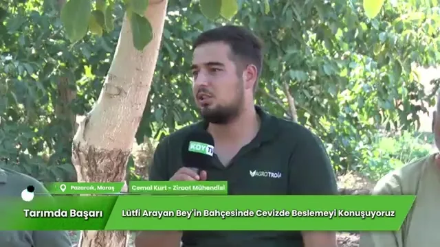 Tarımda Başarı - Pazarcık ceviz
