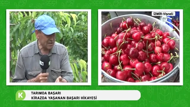 Tarımda Başarı - kiraz bahçe kurulumu