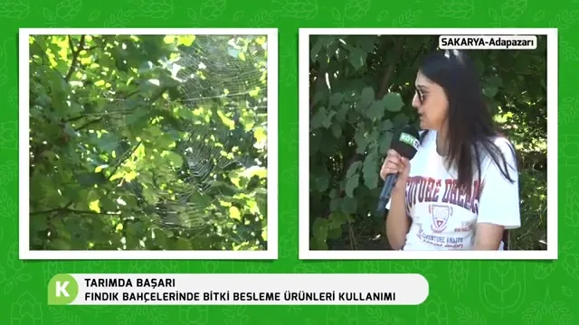 Tarımda Başarı - fındık besleme