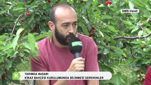 Tarımda Başarı - kiraz bahçe kurulumu