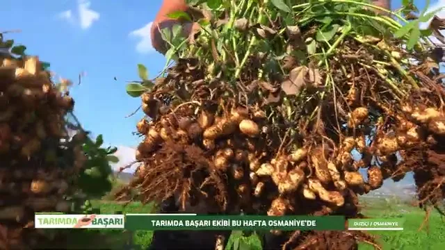 Tarımda Başarı